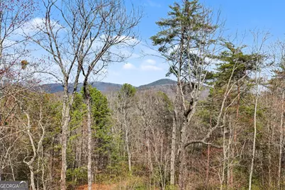 421 Hickory Nut Mtn, Tallulah Falls, GA 30573 - Photo 39