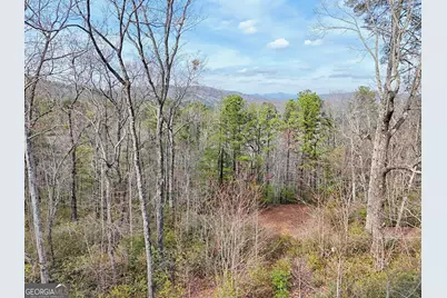 421 Hickory Nut Mtn, Tallulah Falls, GA 30573 - Photo 87