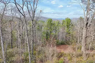 421 Hickory Nut Mountain, Tallulah Falls, GA 30573 - Photo 87