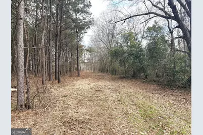 L1 Keysville-Boggs Academy Road, Keysville, GA 30816 - Photo 5