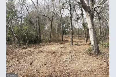 L1 Keysville-Boggs Academy Road, Keysville, GA 30816 - Photo 3