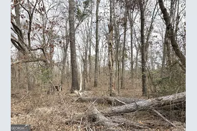 L1 Keysville-Boggs Academy Road, Keysville, GA 30816 - Photo 7