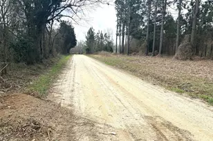 L1 Keysville-Boggs Academy Rd, Keysville, GA 30816 - Photo 1