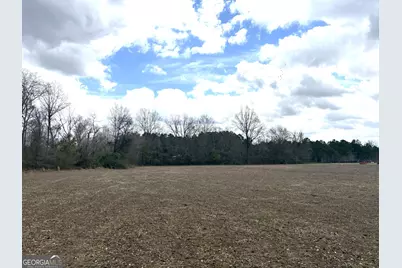 L4 Keysville-Boggs Academy Road, Keysville, GA 30816 - Photo 5