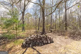 3547 Chapel Ln, Blackshear, GA 31516 - Photo 31