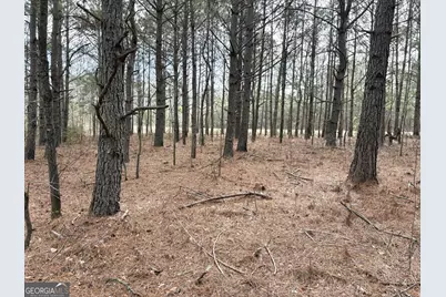 L7 W. Quaker Road, Keysville, GA 30816 - Photo 3