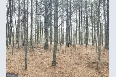 L7 W. Quaker Road, Keysville, GA 30816 - Photo 5