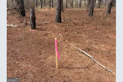 L5 W. Quaker Road, Keysville, GA 30816 - Photo 15