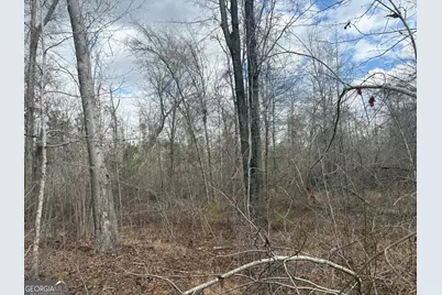 L5 W. Quaker Road, Keysville, GA 30816 - Photo 23