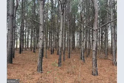 L5 W. Quaker Road, Keysville, GA 30816 - Photo 17