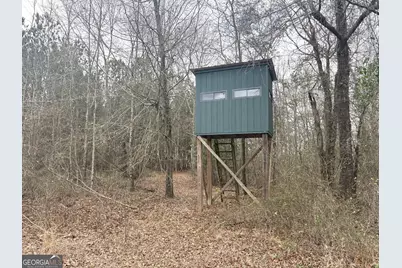 L5 W. Quaker Road, Keysville, GA 30816 - Photo 5