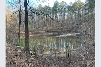6566 Highway 5, Douglasville, GA 30135 - Photo 5