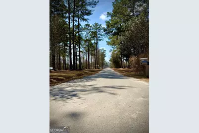 343 Pond Road, Dublin, GA 31021 - Photo 29