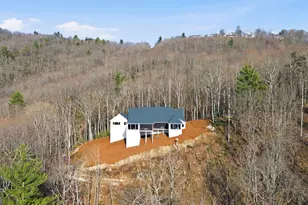 58 Buttons Ln, Dillard, GA 30537 - Photo 67