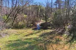 275 Merry Dale Ln, Clayton, GA 30525 - Photo 51