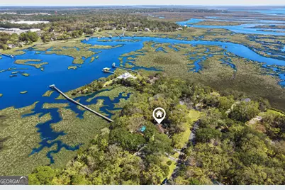 203 Salt Grass Trace, Saint Marys, GA 31558 - Photo 41