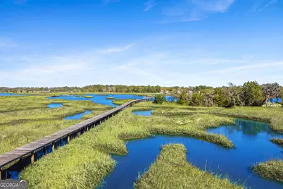 203 Salt Grass Trace, Saint Marys, GA 31558 - Photo 63