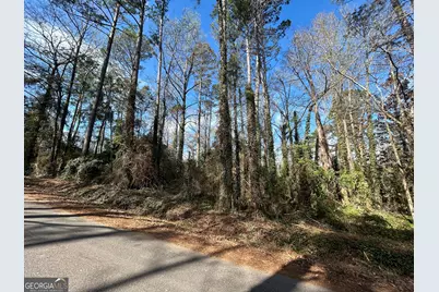 0 Samples Road, West Point, GA 31833 - Photo 1