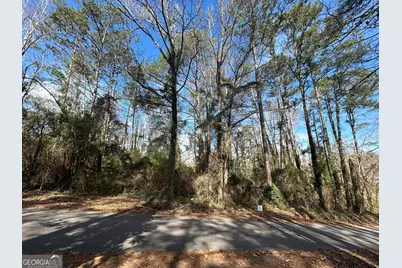 0 Samples Road, West Point, GA 31833 - Photo 3