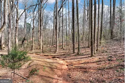 115 Rock Quarry Drive, Danielsville, GA 30633 - Photo 39