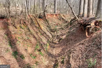 115 Rock Quarry Drive, Danielsville, GA 30633 - Photo 37