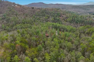 801 Sillycook Trail, Clarkesville, GA 30523 - Photo 43