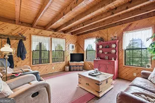 801 Sillycook Trail, Clarkesville, GA 30523 - Photo 9