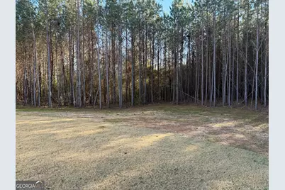 708 Traveler Lane #LOT 54, Williamson, GA 30292 - Photo 55