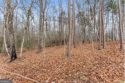 206 Shoals Way, Clarkesville, GA 30523 - Photo 27