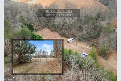 206 Shoals Way, Clarkesville, GA 30523 - Photo 29