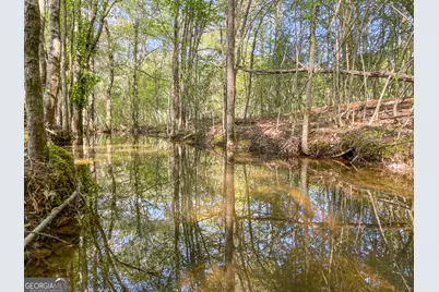0 June Kemp Road, Aragon, GA 30104 - Photo 17