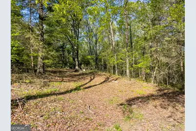 0 June Kemp Road, Aragon, GA 30104 - Photo 13
