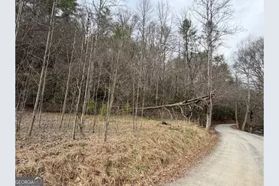 3.1 Acre Maple Rest Lane #6,7, Ellijay, GA 30540 - Photo 13