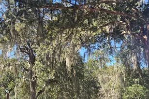 460 Point Peter Pl, Saint Marys, GA 31558 - Photo 37