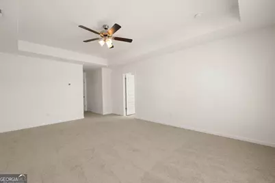 173 Lauritsen Way, Newnan, GA 30265 - Photo 17