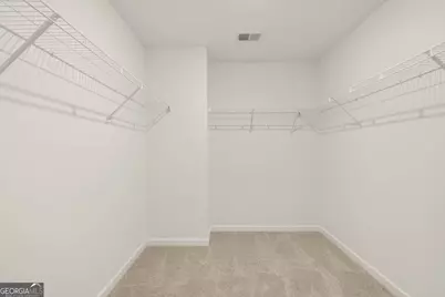 173 Lauritsen Way, Newnan, GA 30265 - Photo 23