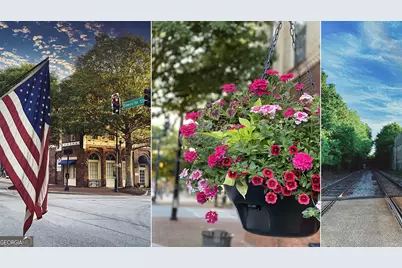 93 White Spruce Way, Newnan, GA 30265 - Photo 39