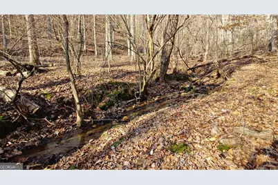 236 Grace Drive, Blue Ridge, GA 30513 - Photo 27