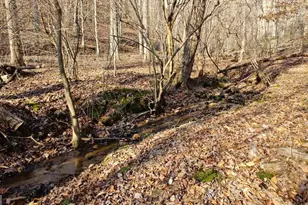 236 Grace Dr, Blue Ridge, GA 30513 - Photo 25