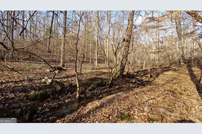 236 Grace Drive, Blue Ridge, GA 30513 - Photo 29