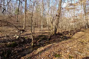 236 Grace Dr, Blue Ridge, GA 30513 - Photo 29