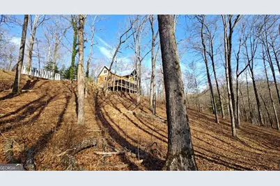 236 Grace Drive, Blue Ridge, GA 30513 - Photo 33