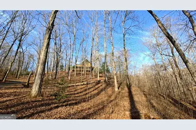 236 Grace Drive, Blue Ridge, GA 30513 - Photo 31