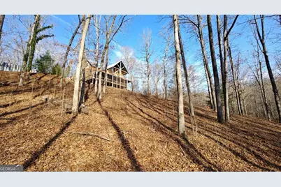 236 Grace Drive, Blue Ridge, GA 30513 - Photo 27
