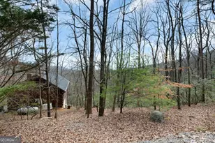 173 Mountain Laurel Ln, Ellijay, GA 30536 - Photo 43