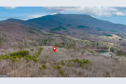 173 Mountain Laurel Lane, Ellijay, GA 30536 - Photo 5