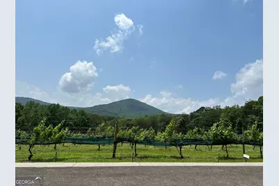 110 Rathgeb Trail, Jasper, GA 30143 - Photo 53