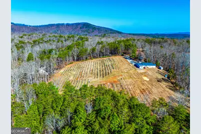 110 Rathgeb Trail, Jasper, GA 30143 - Photo 49