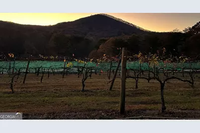 110 Rathgeb Trail, Jasper, GA 30143 - Photo 55