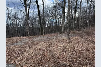 Tr C Old A T Approach Trail, Jasper, GA 30143 - Photo 9